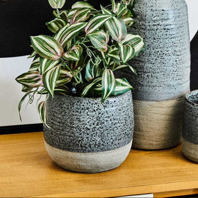 Three ceramic pots with a plant on a wooden surface against a black and white abstract background