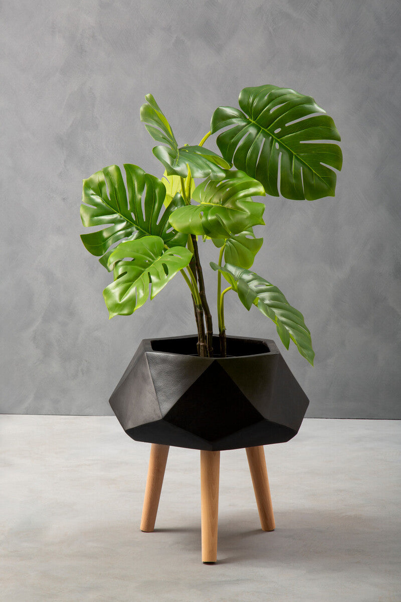 Potted plant in a geometric black pot with wooden legs on a gray background