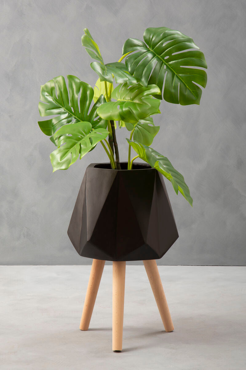 Geometric black planter with a plant on a gray background