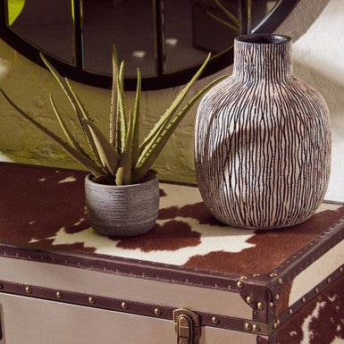 Vintage-style trunk with a plant and decorative vase on top