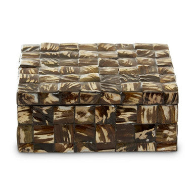 Branna Large Natural Shell Detail Box - Image 3