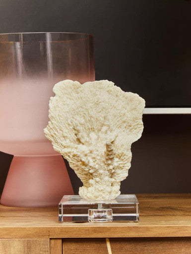 Baila Large Matte Pink Glass Vase