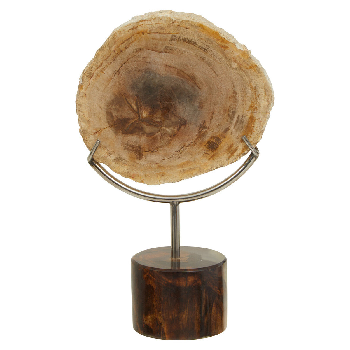 Relic Petrified Wood Sculpture - Image 2