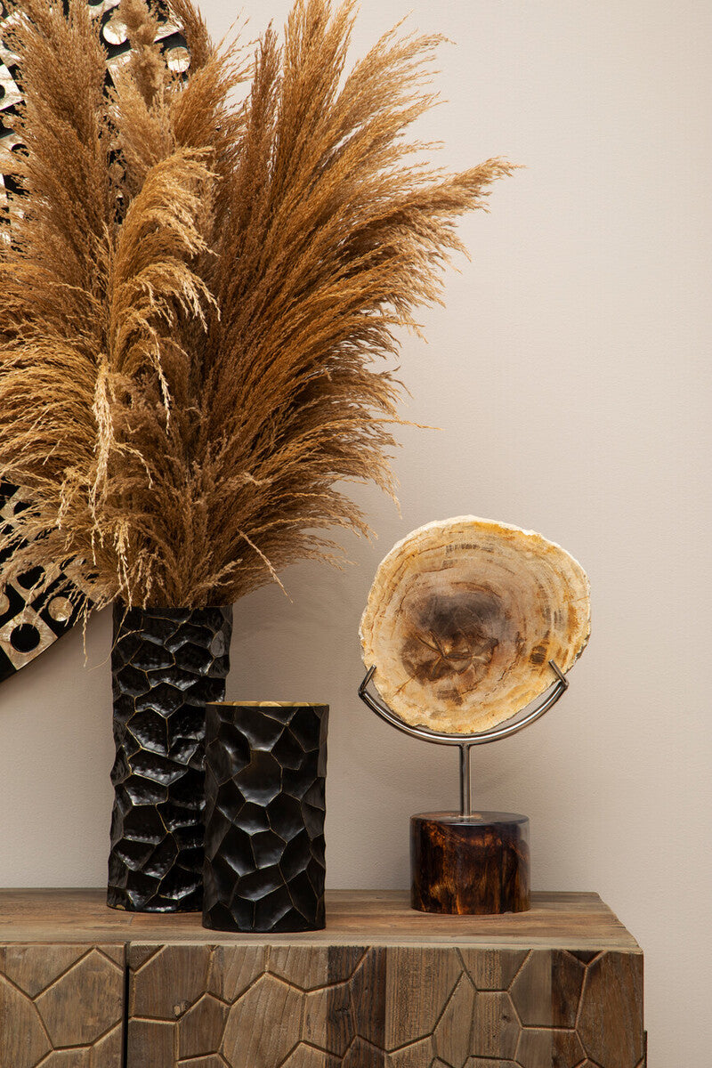 Relic Petrified Wood Sculpture - Image 6