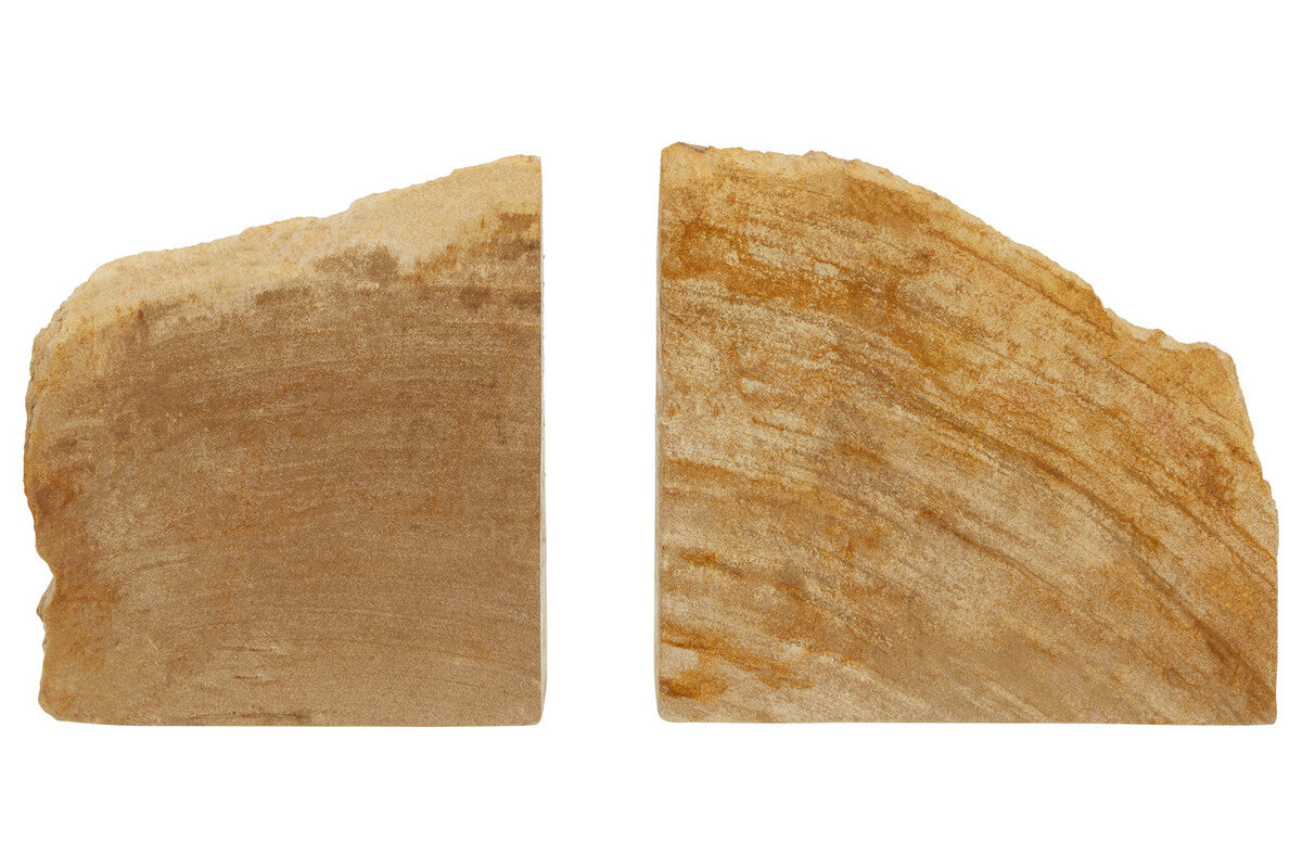 Relic Set of 2 Petrified Wood Natural Bookends - Image 1
