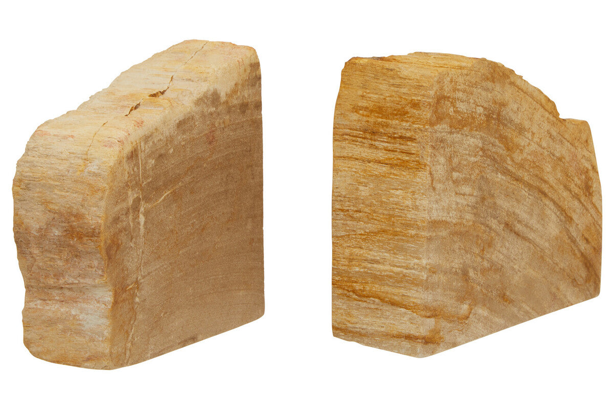 Relic Set of 2 Petrified Wood Natural Bookends - Image 3