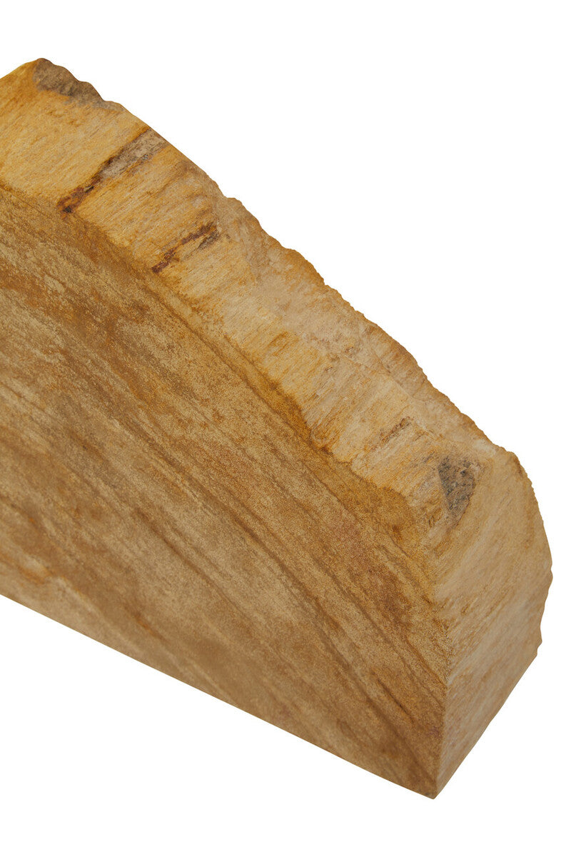 Relic Set of 2 Petrified Wood Natural Bookends - Image 13