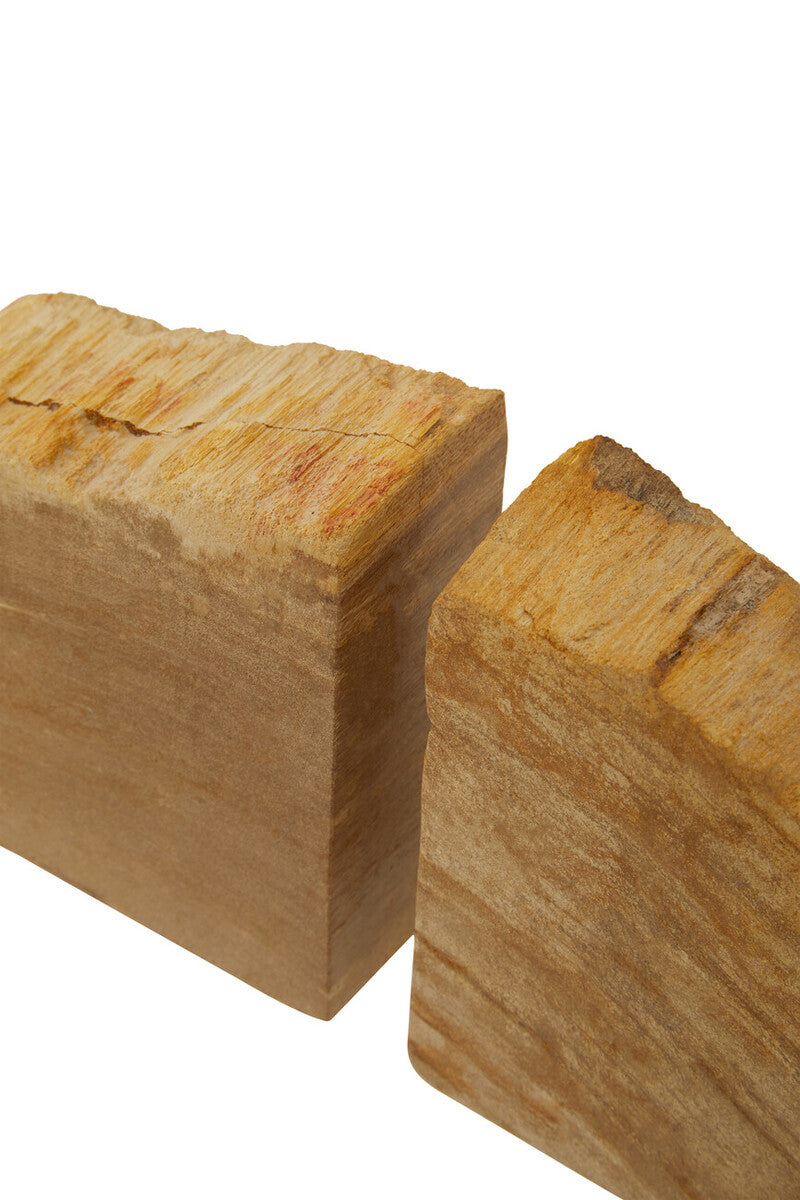 Relic Set of 2 Petrified Wood Natural Bookends - Image 14