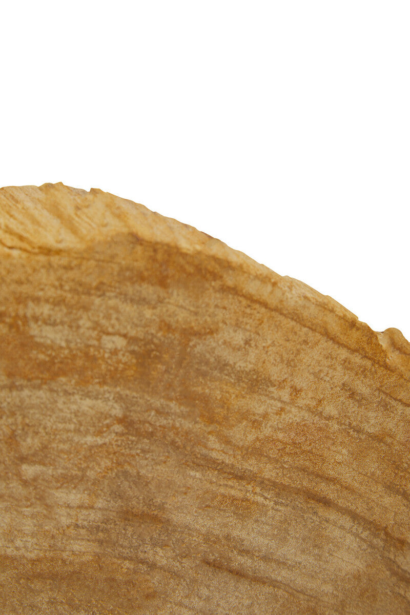 Relic Set of 2 Petrified Wood Natural Bookends - Image 16