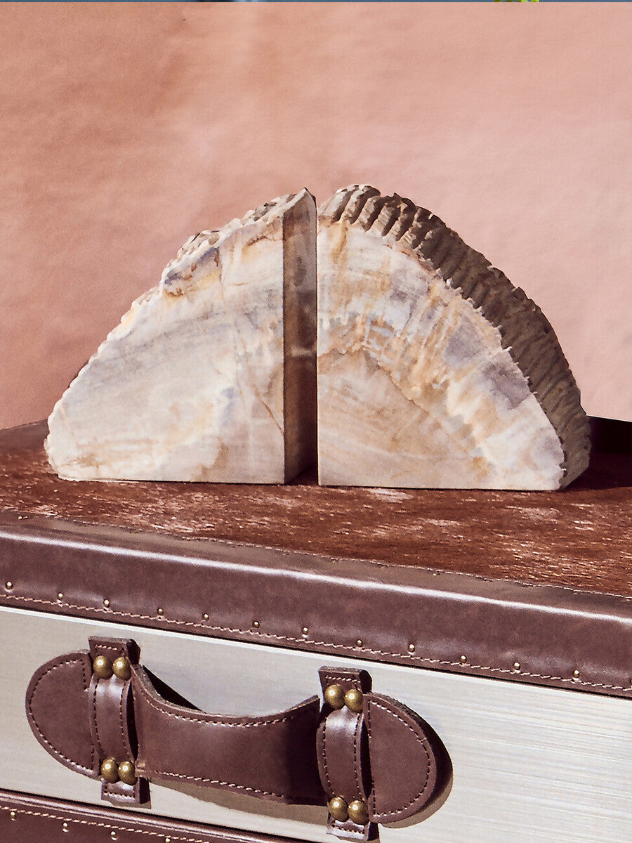 Relic Set of 2 Petrified Wood Natural Bookends - Image 12