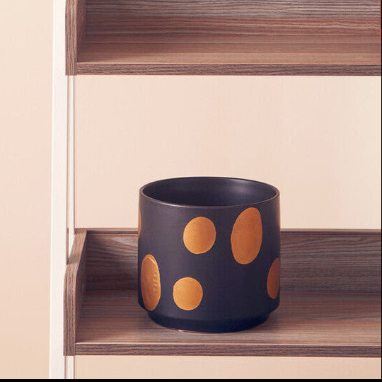 Wooden shelves with polka dot planters on a beige background
