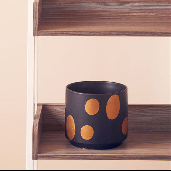 Wooden shelves with polka dot planters and pots against a beige wall.