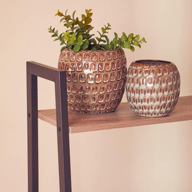 Two patterned vases on a wooden shelf with a plant, against a plain wall.