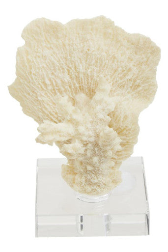 Boho Small White Coral Decor - Image 4