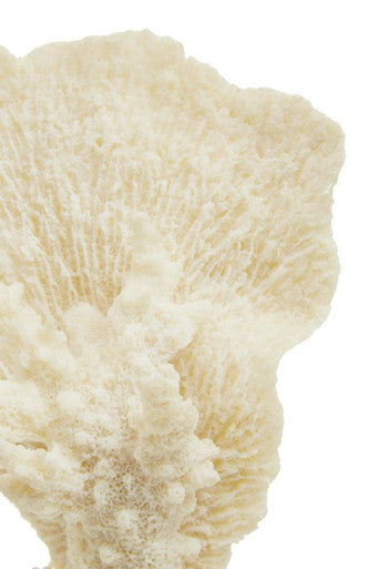 Boho Small White Coral