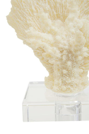 Boho Small White Coral Decor - Image 8