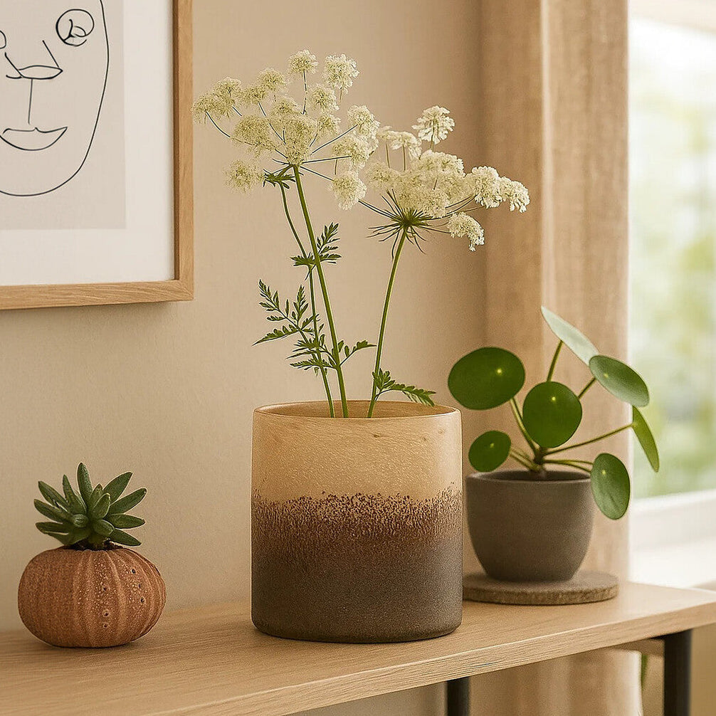 Three potted plants on a wooden shelf with a window in the background