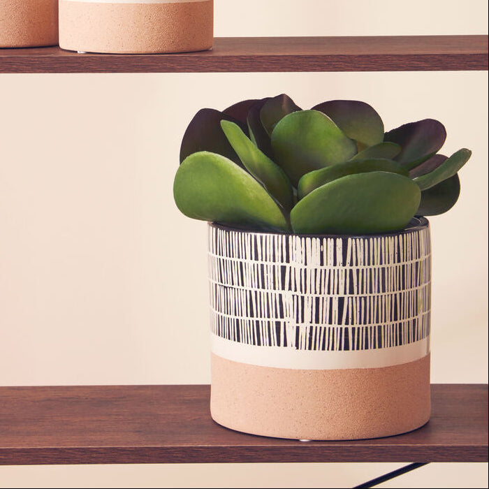 Jada Large Striped Planter