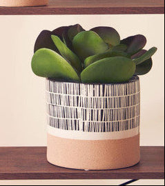 Jada Large Striped Planter