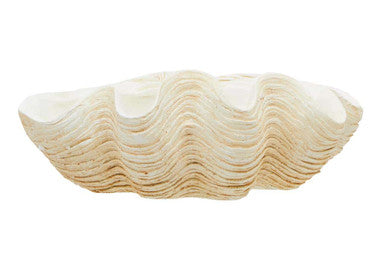 Byron Large Clam Shell Bowl