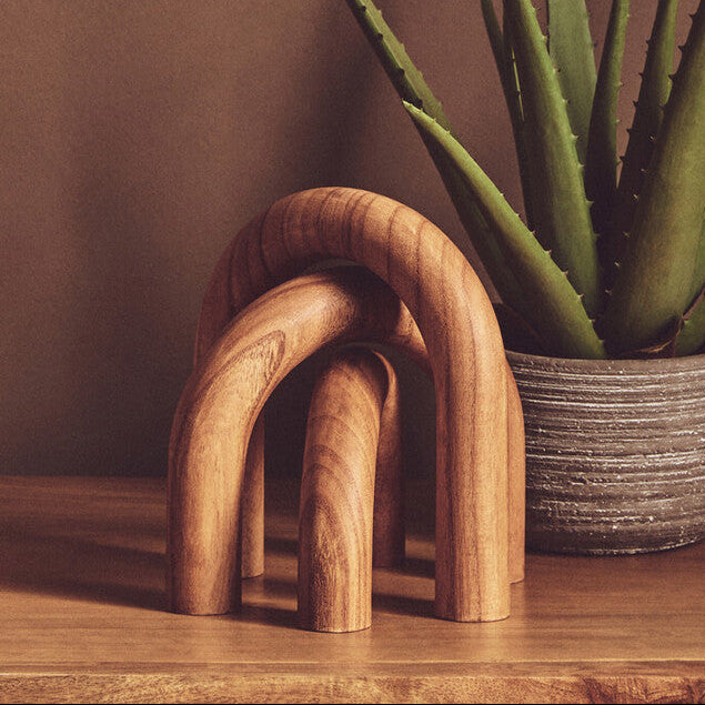 Potted aloe vera plant on a wooden surface with wooden arches in the foreground against a brown background