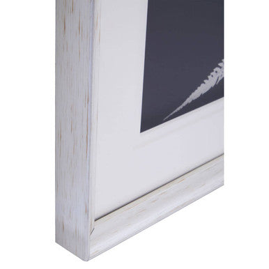 Nason Set Of Two Leaf Print Wall Art