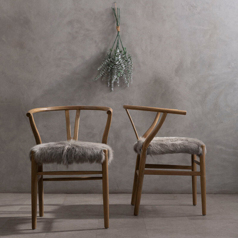 Two wooden chairs with fur cushions against a gray wall with a plant.