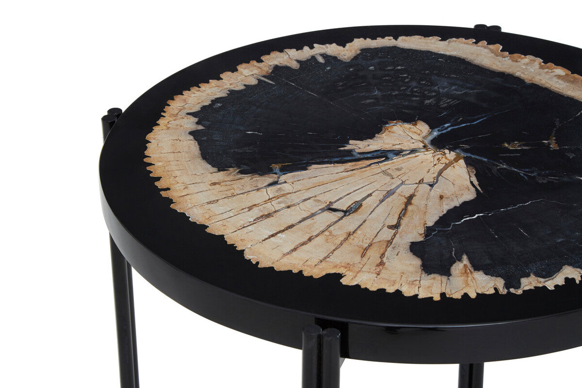 Relic Petrified Wood and Resin Side Table