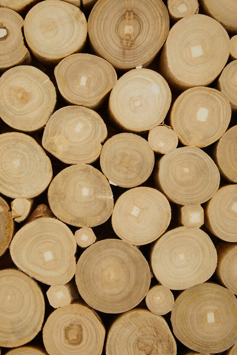 Natural Teak Wood Branch Effect Coffee Table with Black Metal Legs, Malang