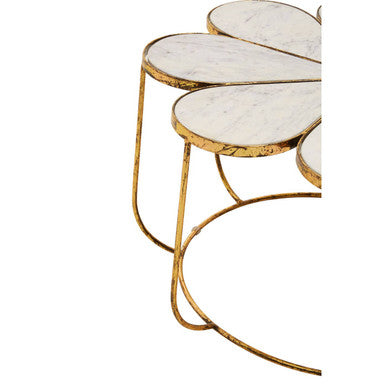 Rabia Petal Coffee Table With Marble Top