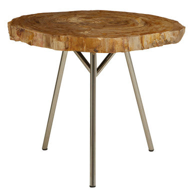 Relic Medium Petrified Wood Side Table - Image 2