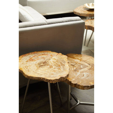 Relic Large Petrified Wood Side Table