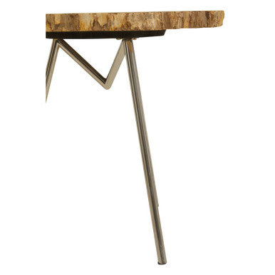 Relic Large Petrified Wood Side Table