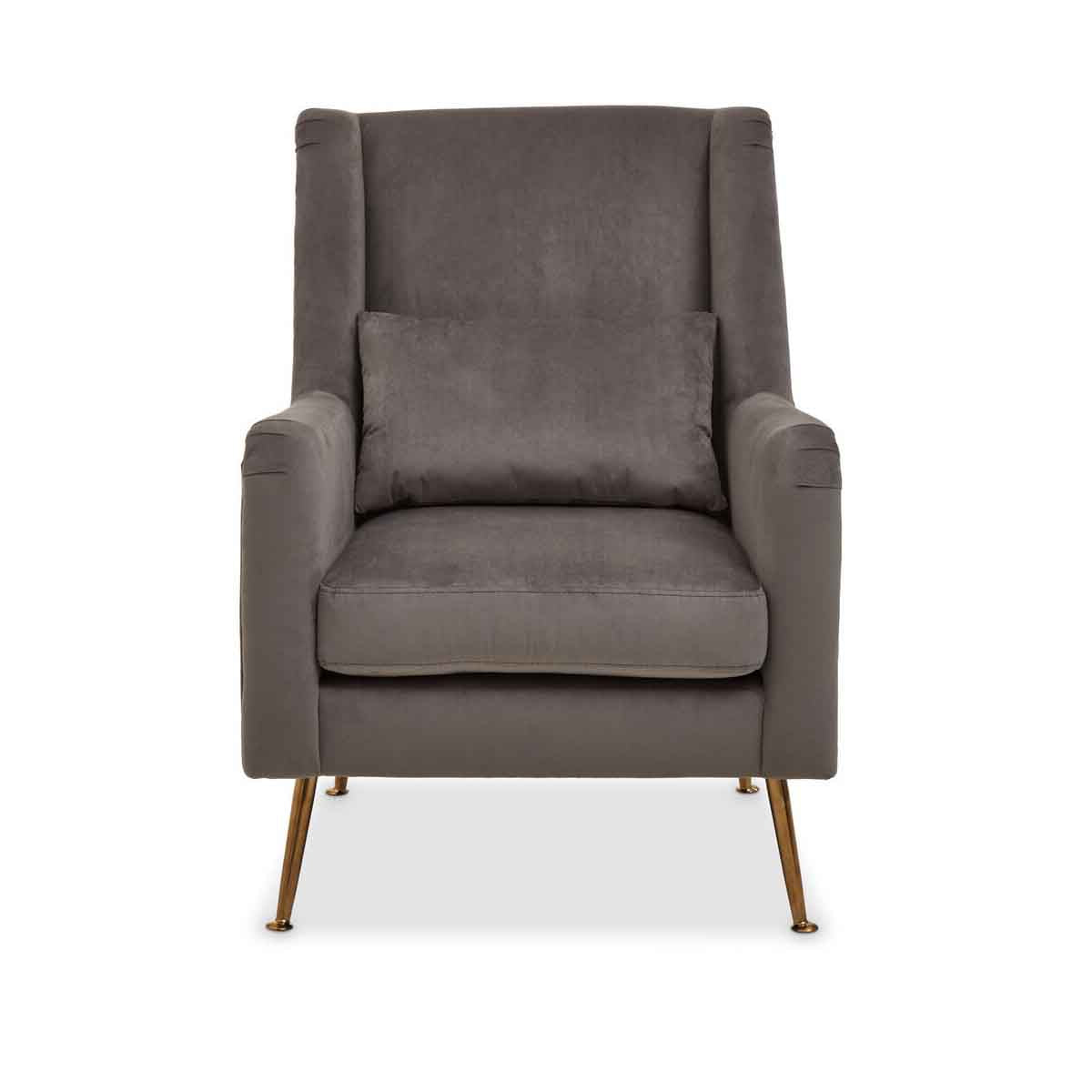Doucet Grey Velvet Chair With Gold Finish Legs