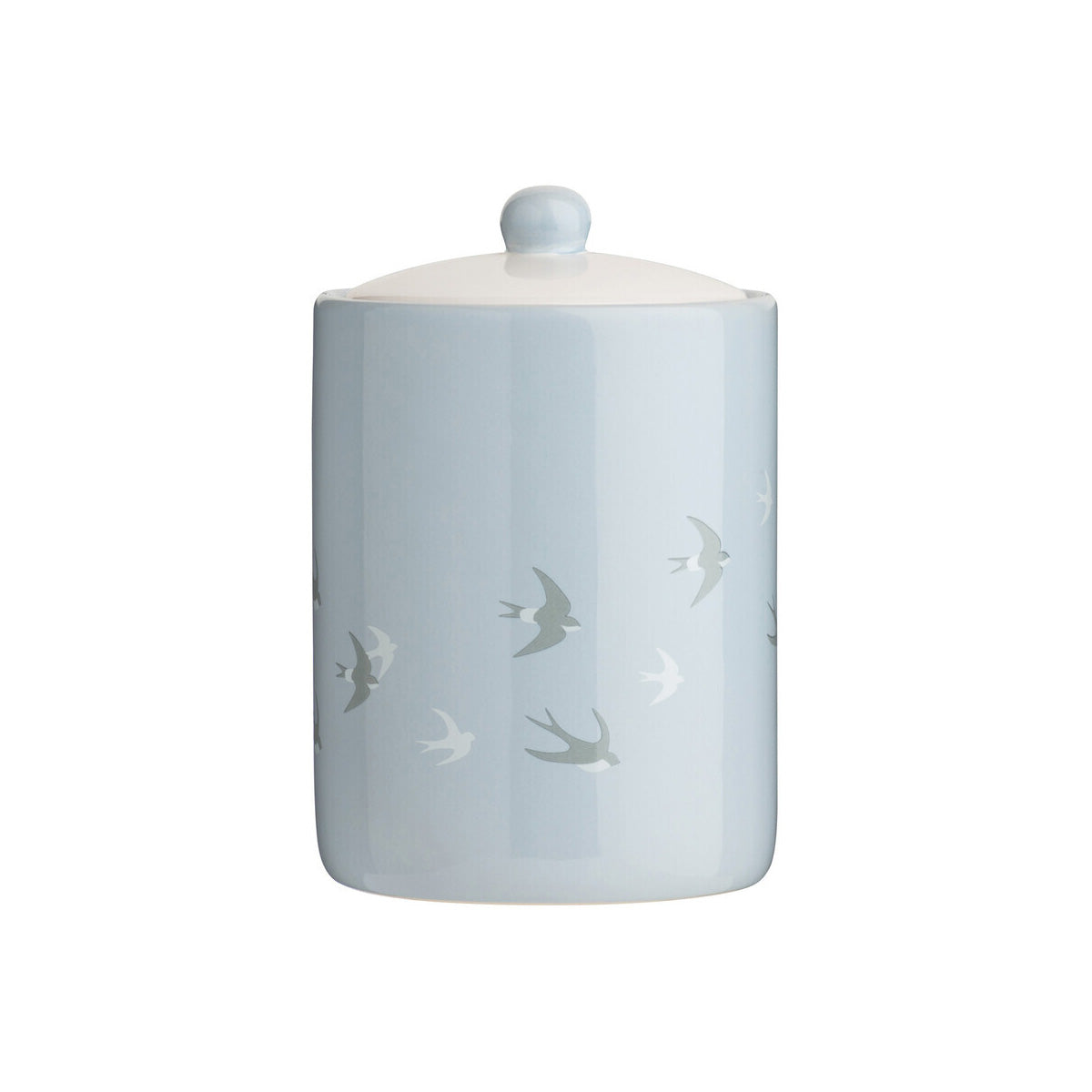 Light Blue And Cream Swift Storage Jar