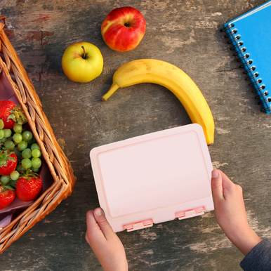 Grub Tub Pink 2 Section Lunch Box