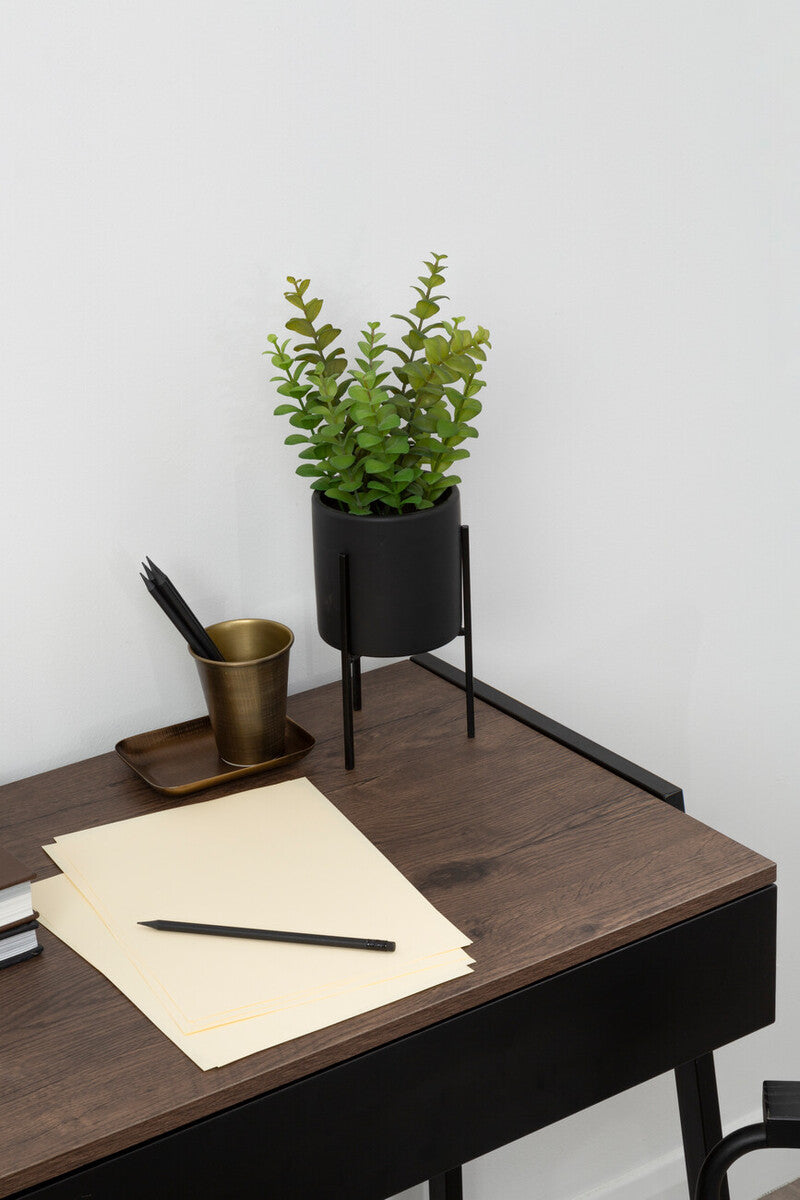 Fiori Thyme in Black Pot with Stand