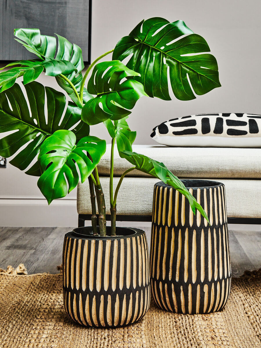 Two potted plants in black and gold striped pots on a textured surface with a blurred indoor setting.
