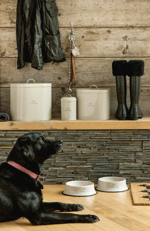 Pet Products