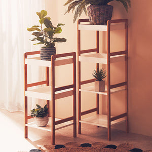 Storage shelves and Caddies