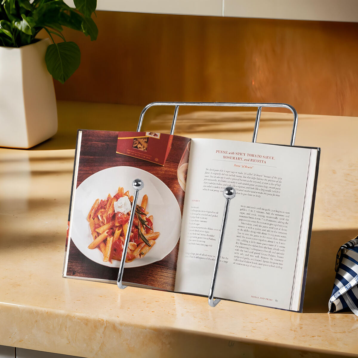 Reyna Chrome Cookbook Stand