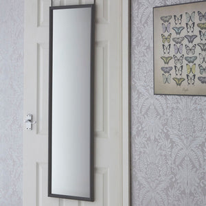 Mize Over Door Grey Plastic Frame Mirror
