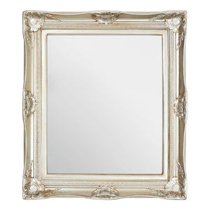 Ornate Acanthus Leaf Wall Mirror | Adelere