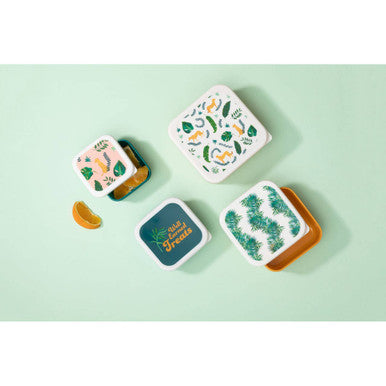 Mimo Set Of 4 Winter Palm Lunch Boxes
