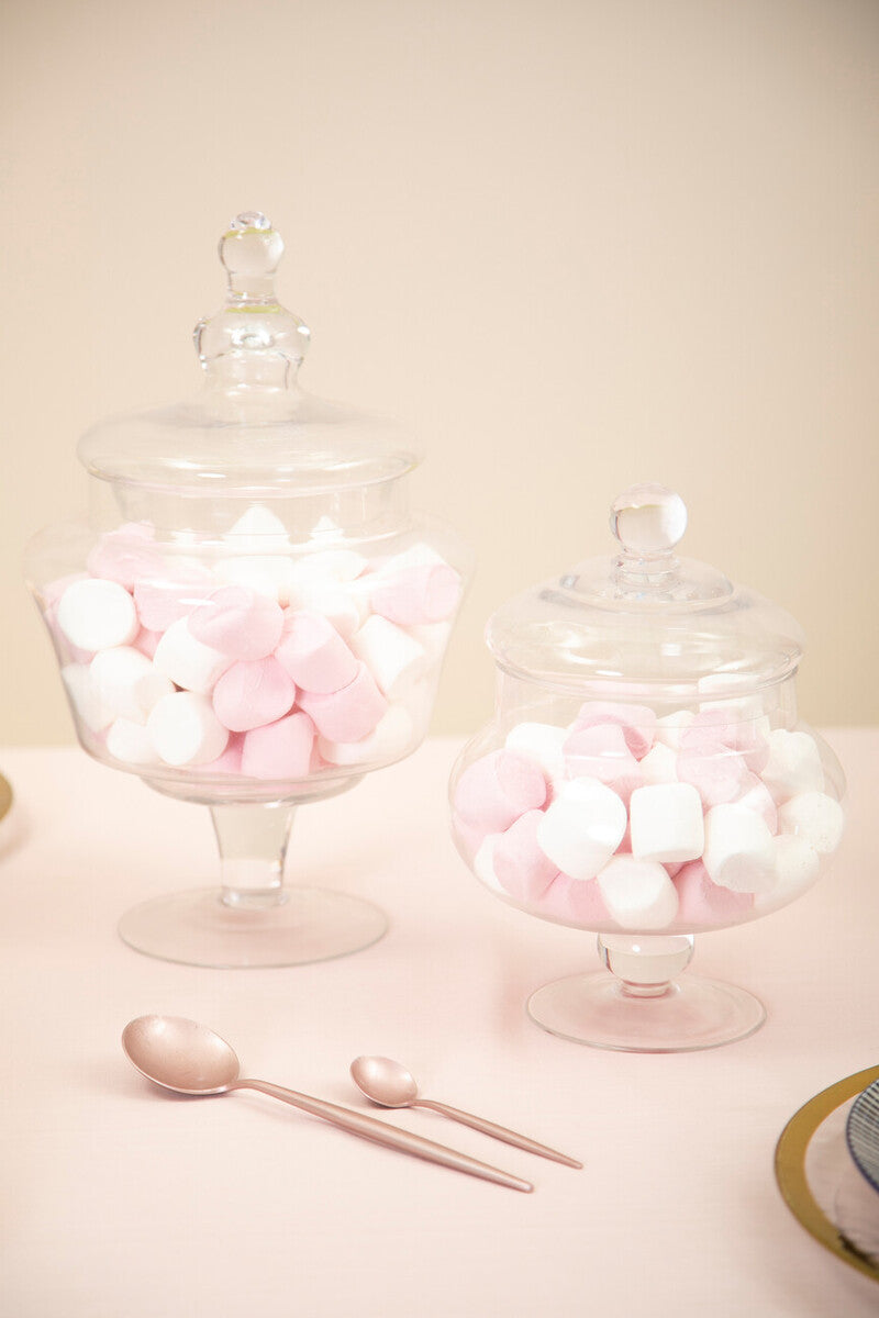 Olivia Clear Glass Small Candy Storage Jar
