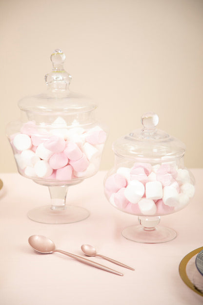 Olivia Clear Glass Small Candy Storage Jar