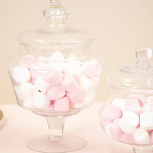 Clear Glass Candy Large Storage Jar | Olivia