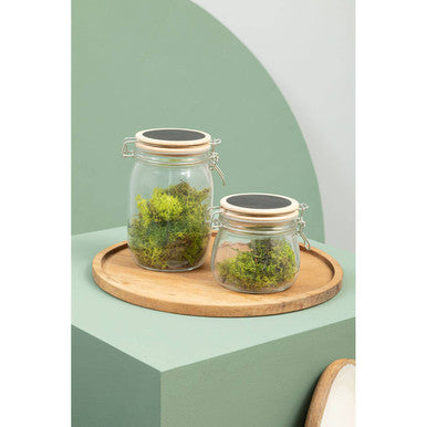 Appert Glass Storage Jar With Wooden Lid 500 Ml