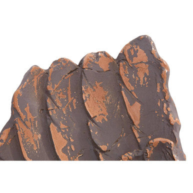 Plato Wings Wall Decoration