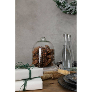 Jain Bell Jar with Knob Handle